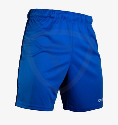Salming Core 22 Match Shorts
