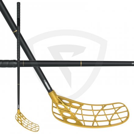 Fatpipe Raw Concept 28 CTRL Black-Gold SMU